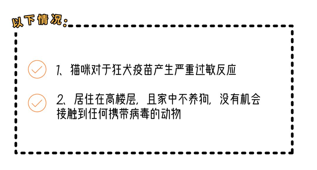 小猫打针后死了,小猫打了狂犬疫苗还会得病吗