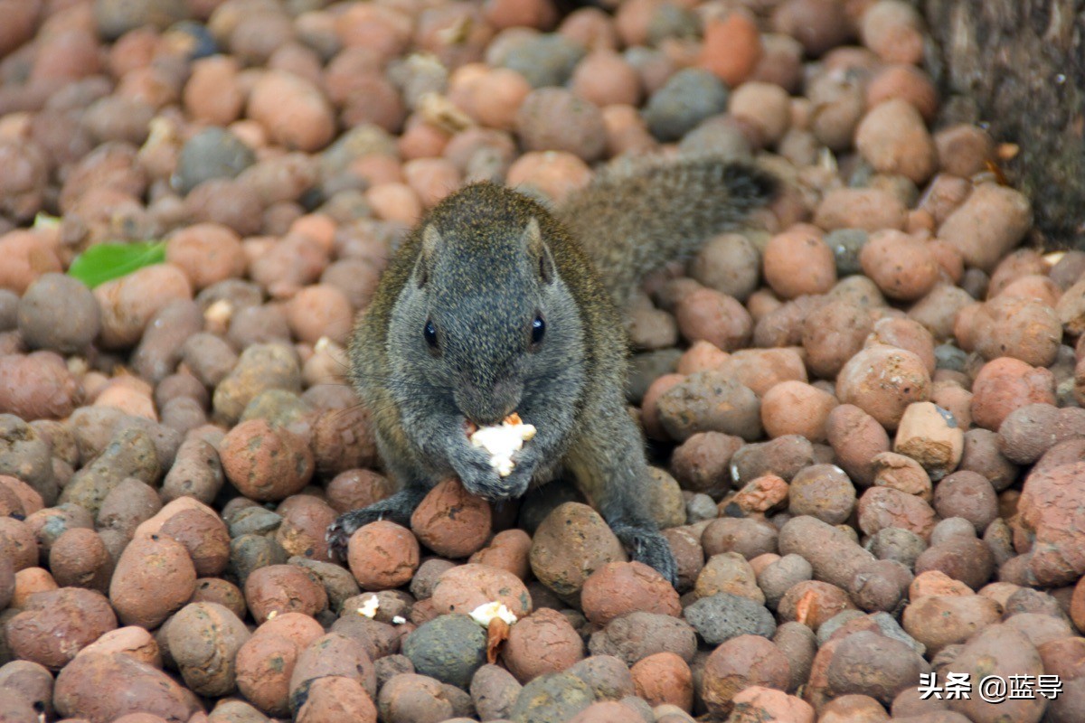 佳能24-105mm评测,佳能24-105适合拍摄的场景