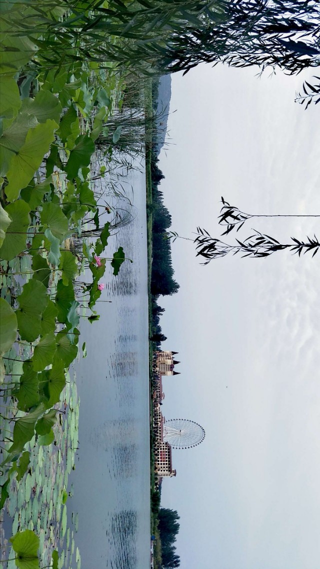 濞佹捣鑾辫尩灏忛晣,澶╂触鑾辫尩灏忛晣