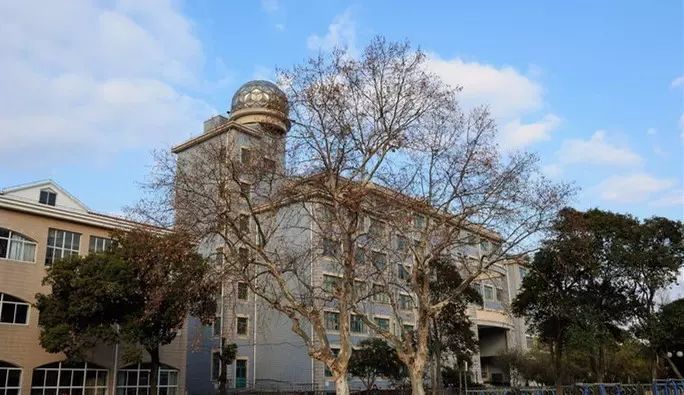 上海松江二中特色,上海市松江二中校园风光