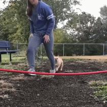 贾玲在沙发上翘二郎腿搞笑图片,贾玲跷二郎腿动图下载