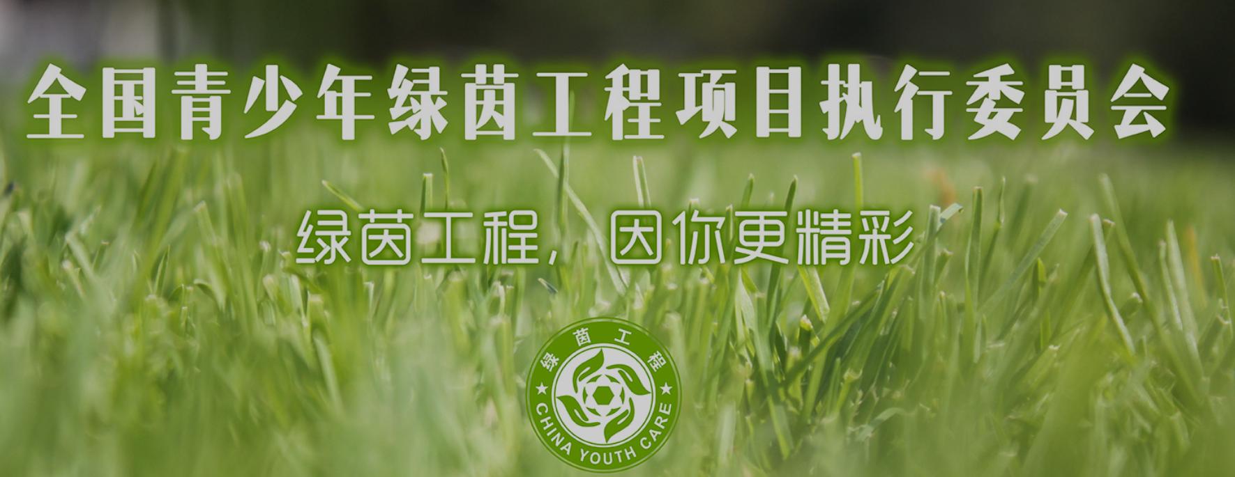 绿茵足球资讯,足球青少年体能训练图解