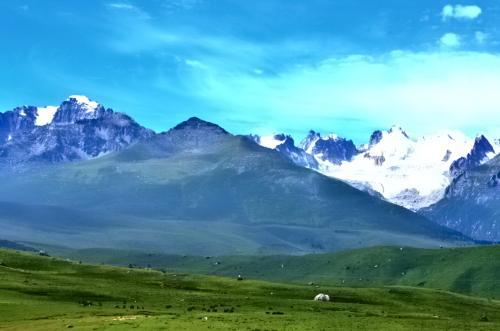 高原反应终极攻略西藏旅行必备,旅行中出现高原反应怎么样缓解