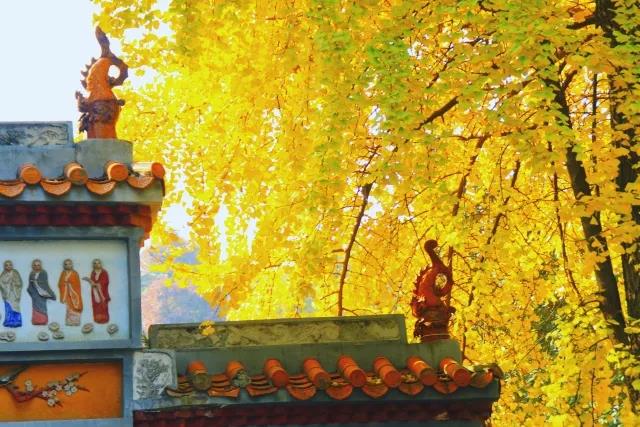 那些令人惊艳绝伦的情书,6行最惊艳的情书