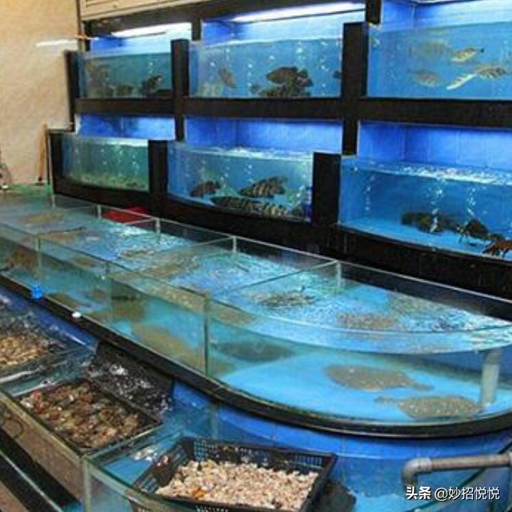 逛超市的小技巧,逛超市购物小技巧