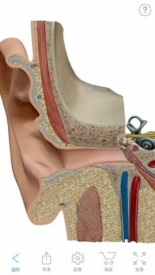 2020人体解剖学图谱用法,2023人体解剖学图集如何使用
