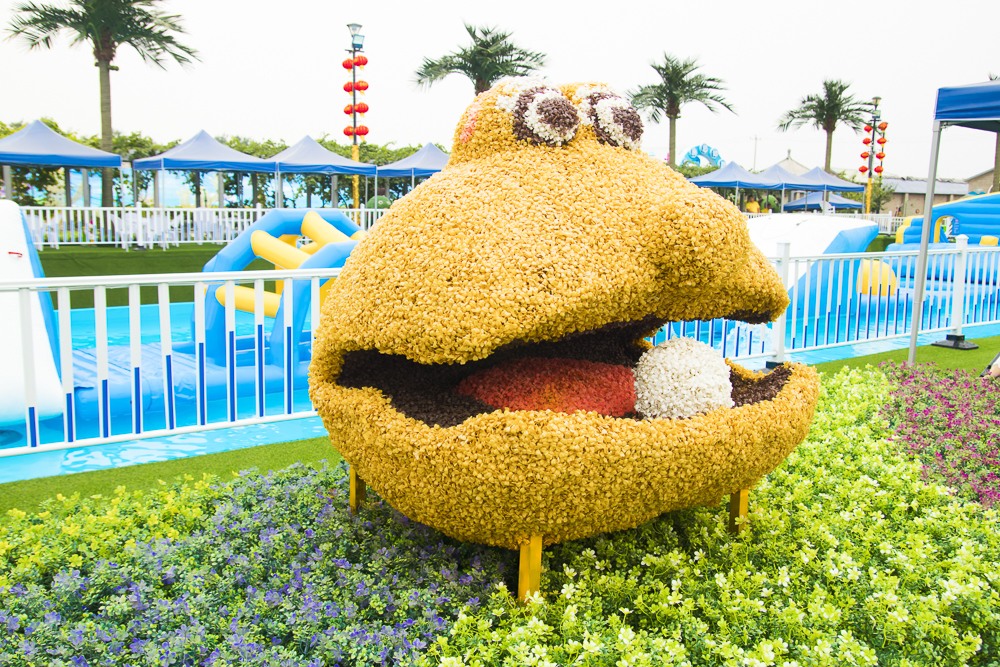 #毕业旅行啦#石家庄慧灯庄园，夏日里寓教于乐爽歪歪