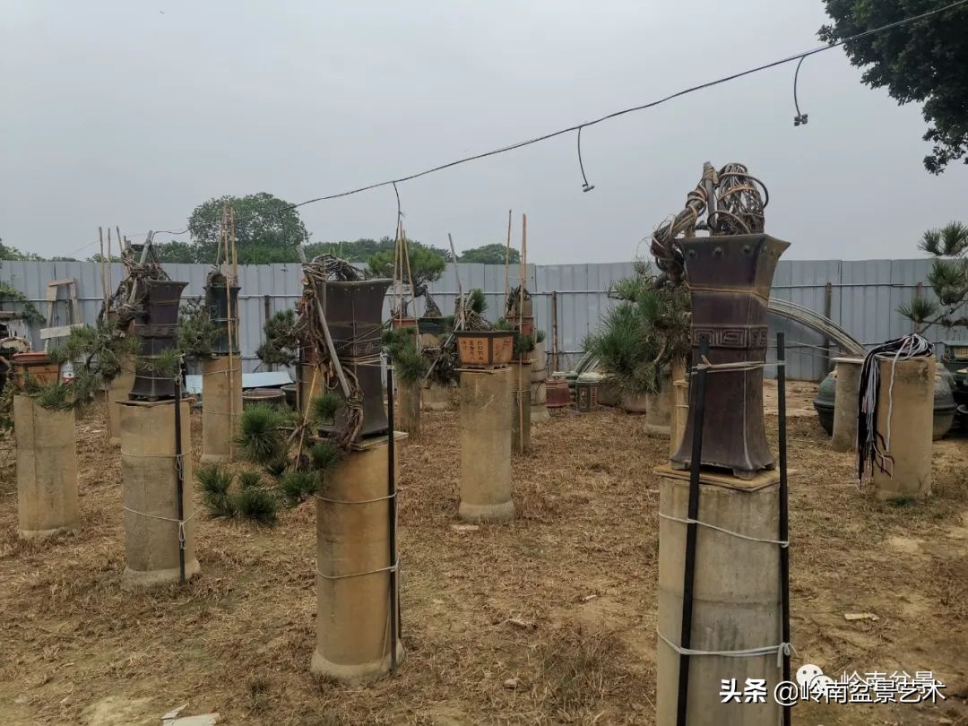 绿色金融业务发展好的银行,绿色银行的前景