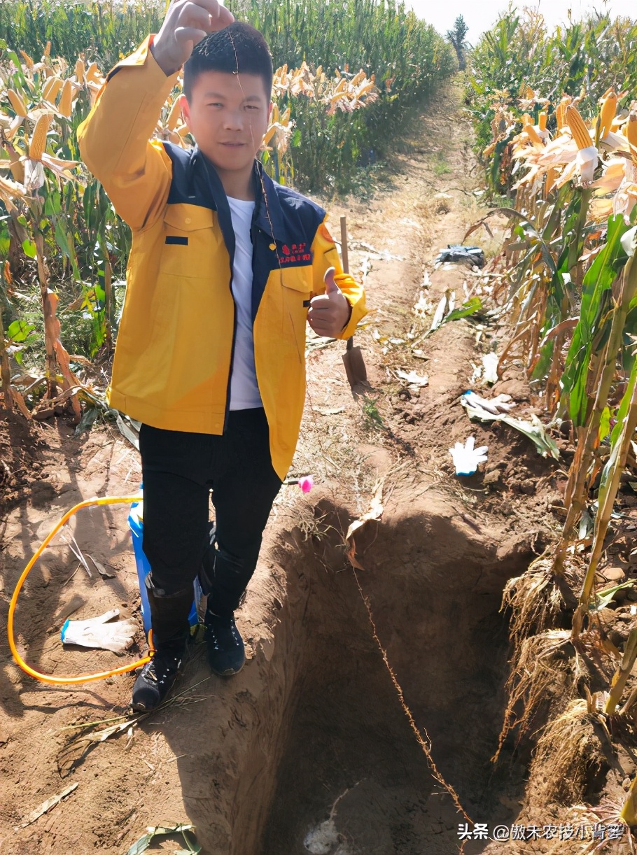 苗木缓苗最快的生根剂,裸根苗用什么生根剂让它存活