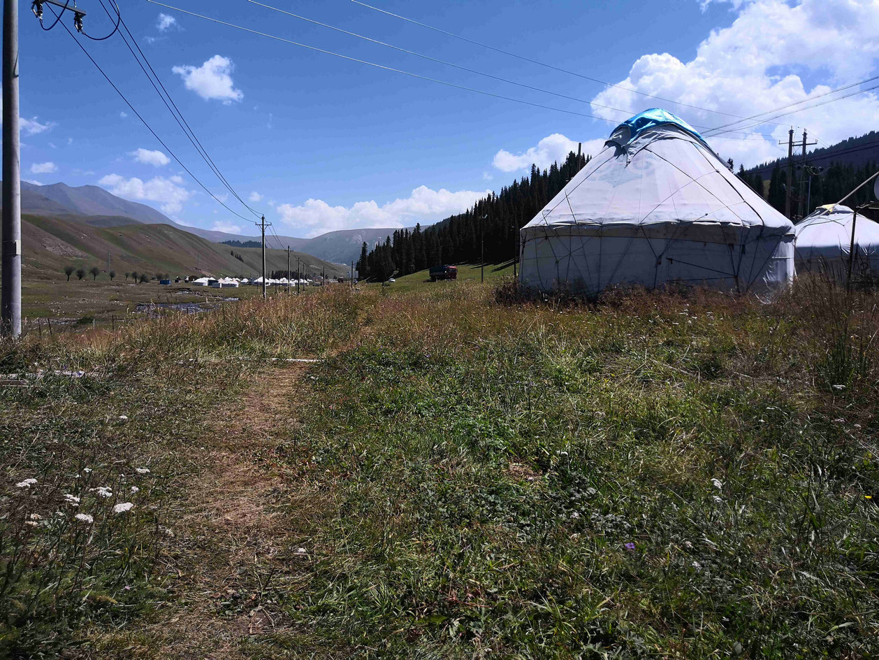与*疆新**旅店老板共餐，直夸我土豆丝炒的好吃，后请我吃羊肉大餐