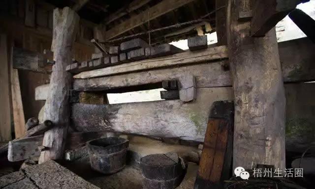 “茶油煮饭，锅底刮烂”！罗定的你试过了吗？