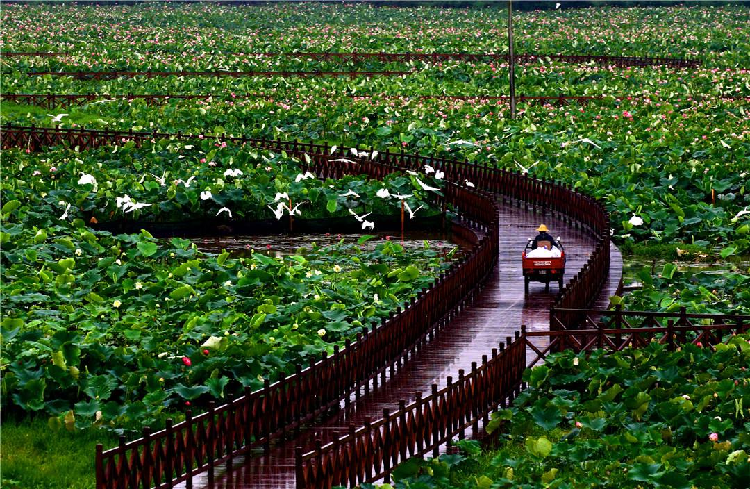 腾冲精品旅游,魅力腾冲旅游