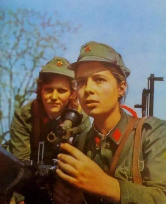 60年代阿尔巴尼亚人民军,阿尔巴尼亚人民军陆军编制