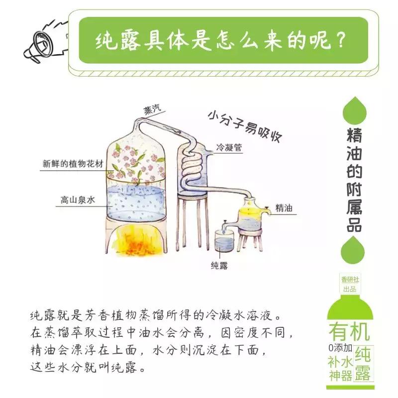 新手入门纯露,纯露护肤顺序