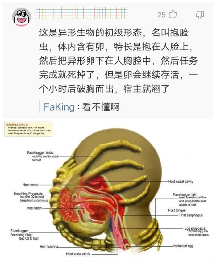 男生们喜欢什么,男生都喜欢什么样的男生