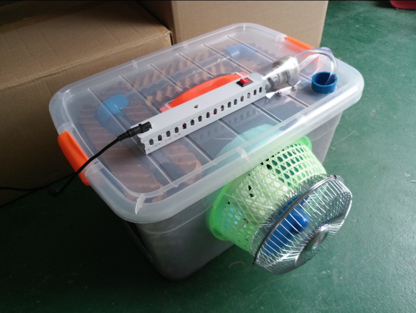 手工风扇自制,手工自制矿泉水风扇