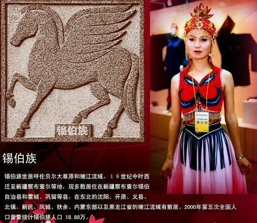 中国五十六个民族的服饰,56民族图腾图