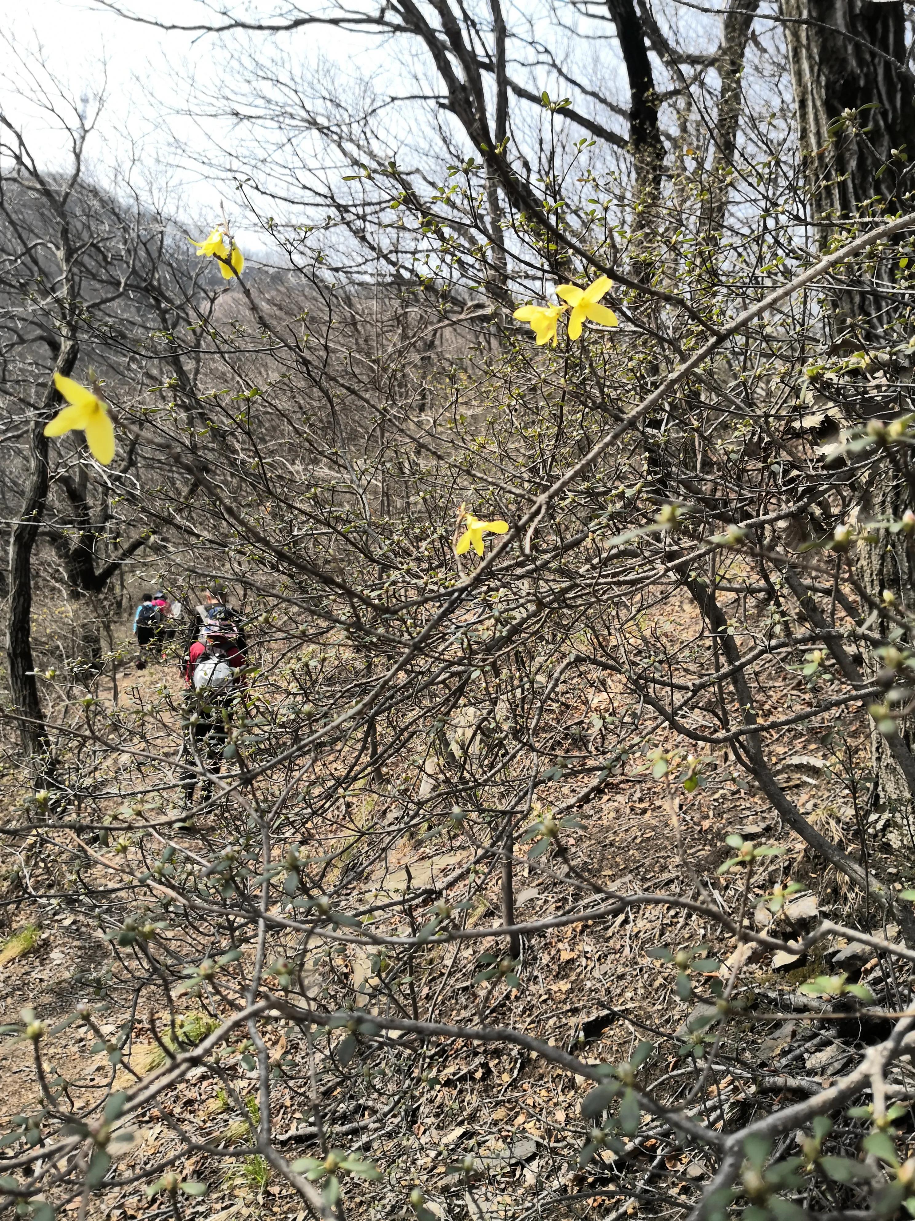 爬山第二天小腿肌肉僵硬如何缓解,爬山后小腿疼如何缓解