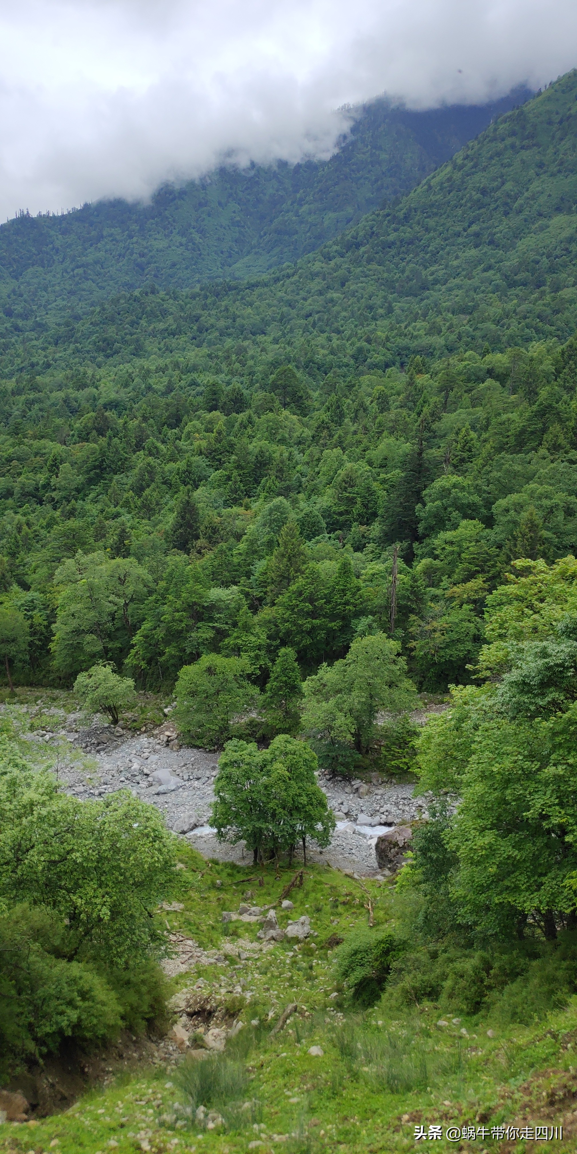 一家三口重庆到拉萨旅游攻略预算,一家三口成都去拉萨大概要多少钱