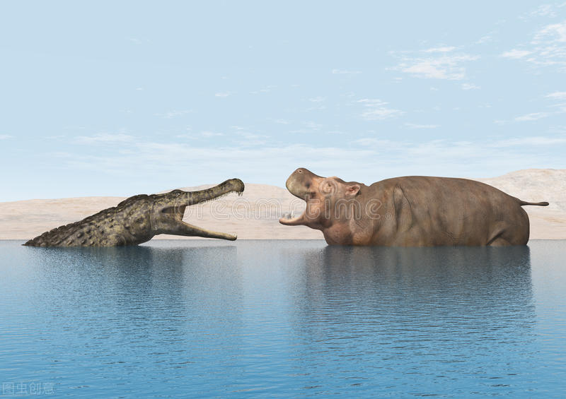 河马攻击狮子和鳄鱼,鳄鱼单挑河马被秒杀