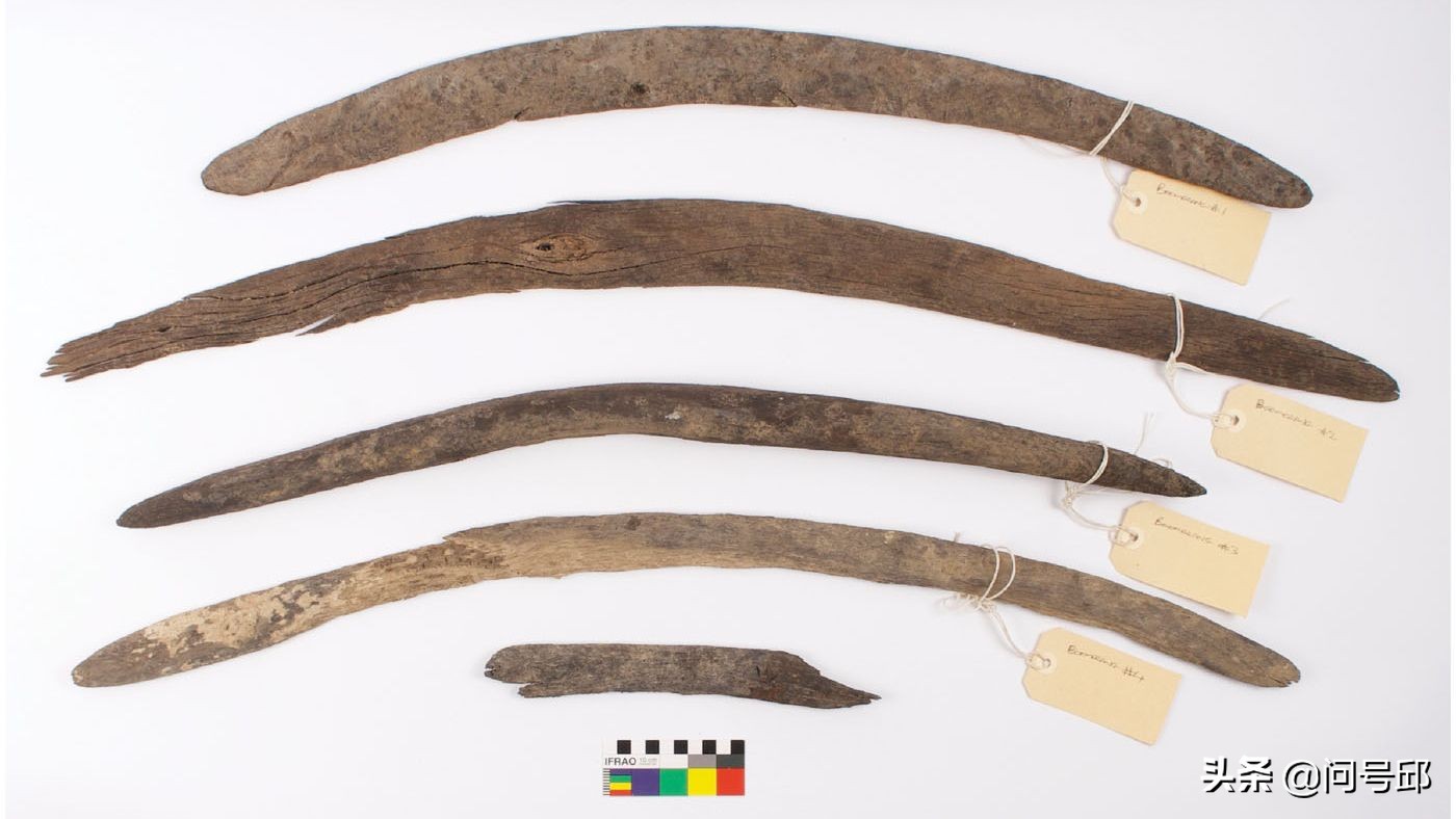 在南澳大利亚干涸的河床上,发现了5只不会返回的土著人的回力镖