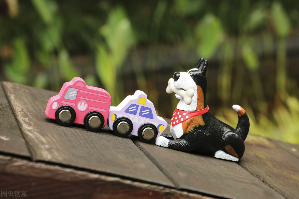 闹狗有什么措施,闹人的狗狗怎么治