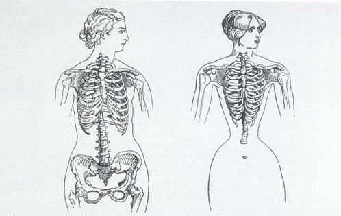 关于束腰那些事儿,关于束腰的疑问