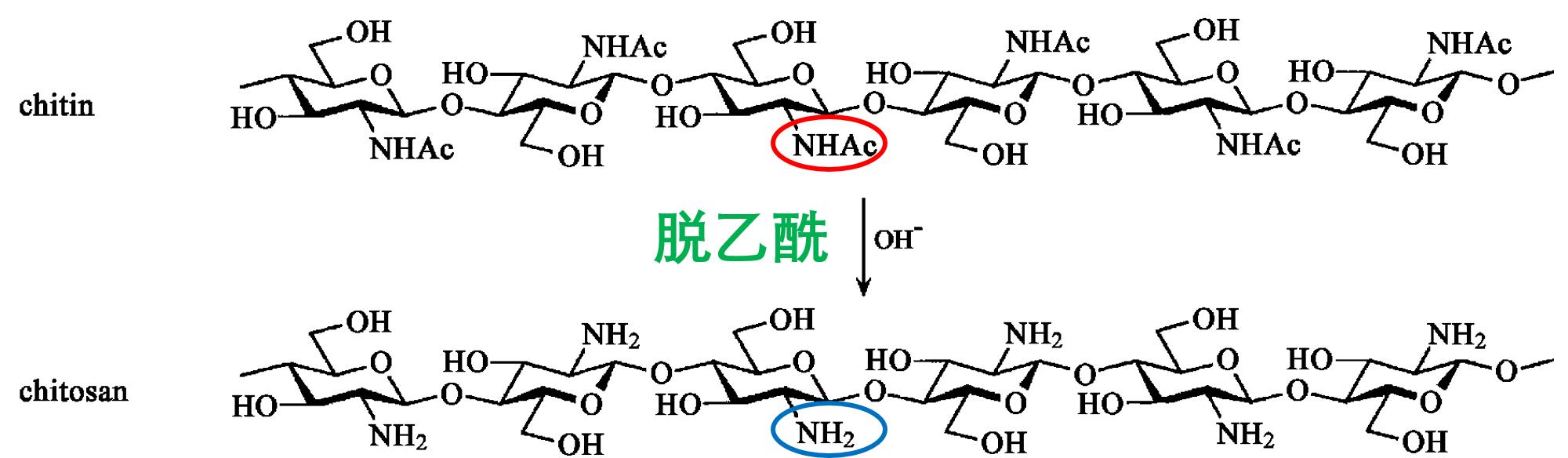 美食→生物材料|小龙虾→伤口敷料