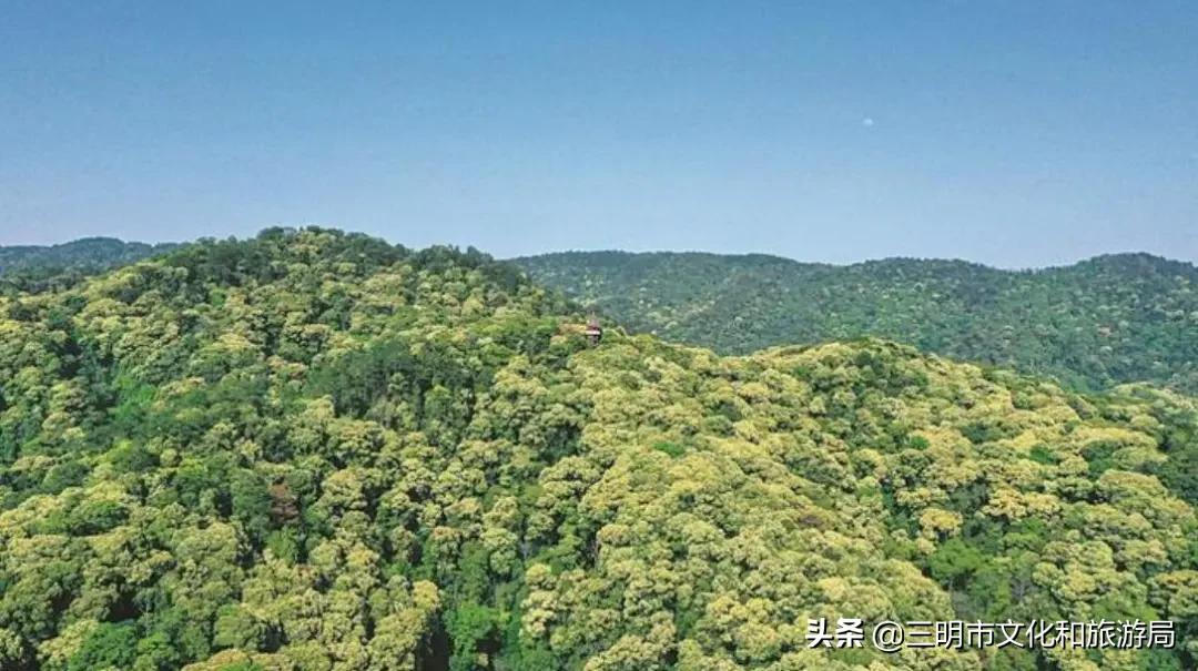 活动第二天！上海踩线团大力推荐三明这个地方！