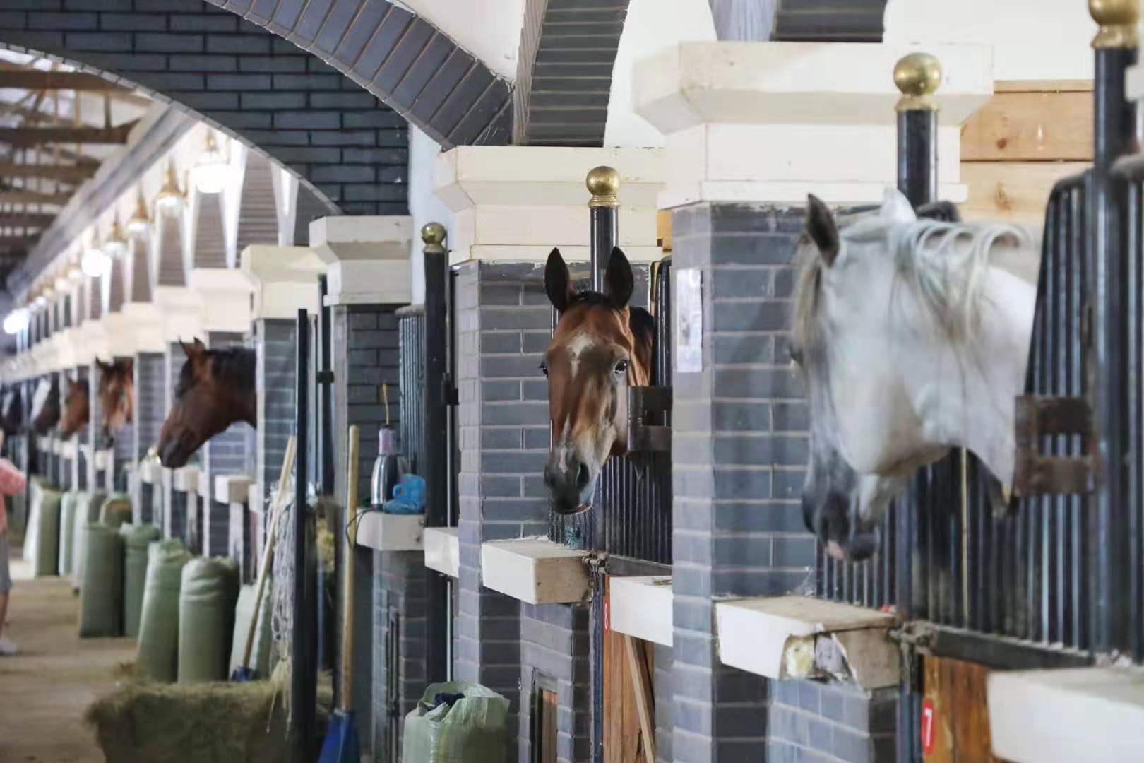 锡林郭勒大草原3天旅游攻略,锡林郭勒大草原五日游推荐