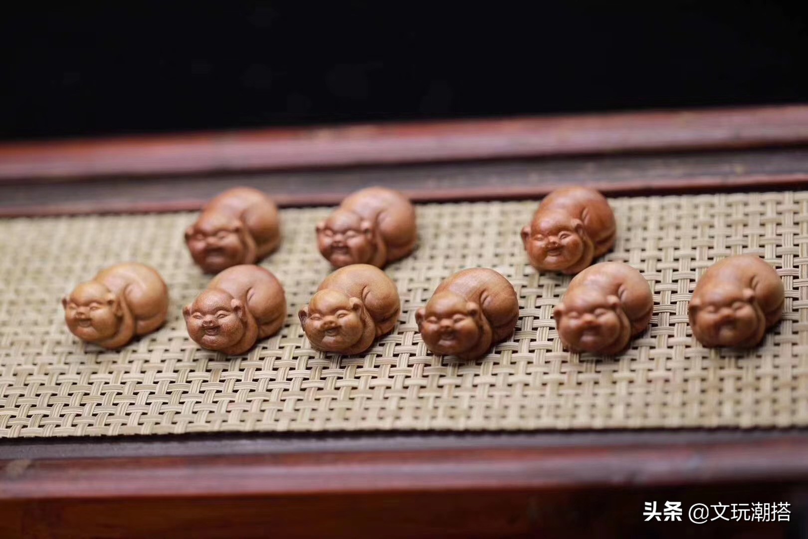 同样是猪同样好吃懒做,同样是猪为什么你这么好看