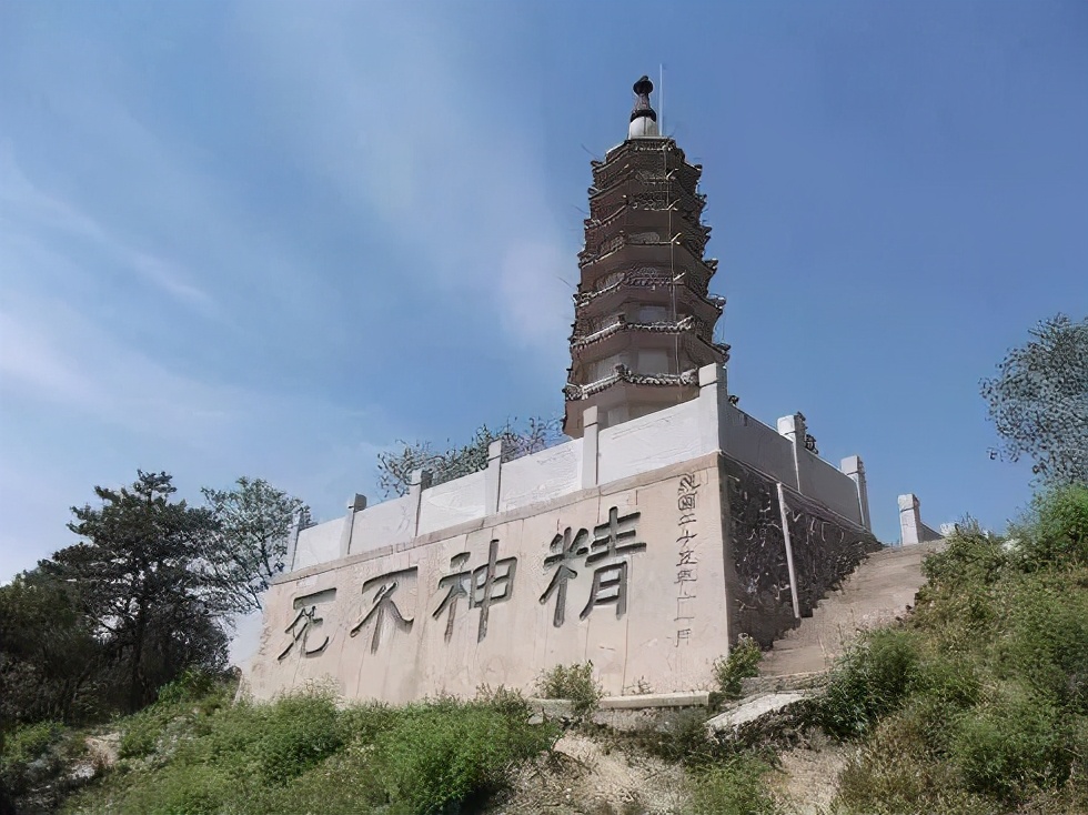 俞敏洪遭抢劫怎么活下来的,俞敏洪被逼宫完整