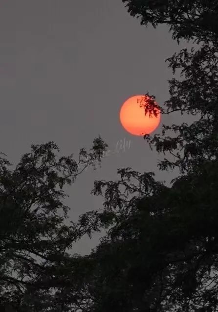 红月奇观,加拿大奇观