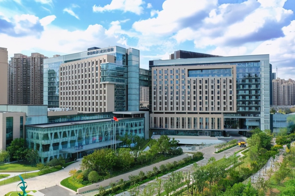 汉阳四新改善楼盘,汉阳四新配套