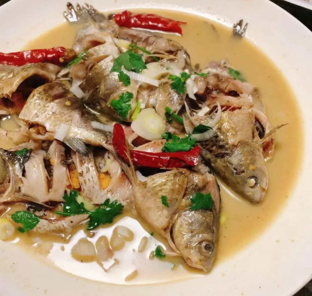 长春美食推荐老字号鱼,长春最好吃的鱼店