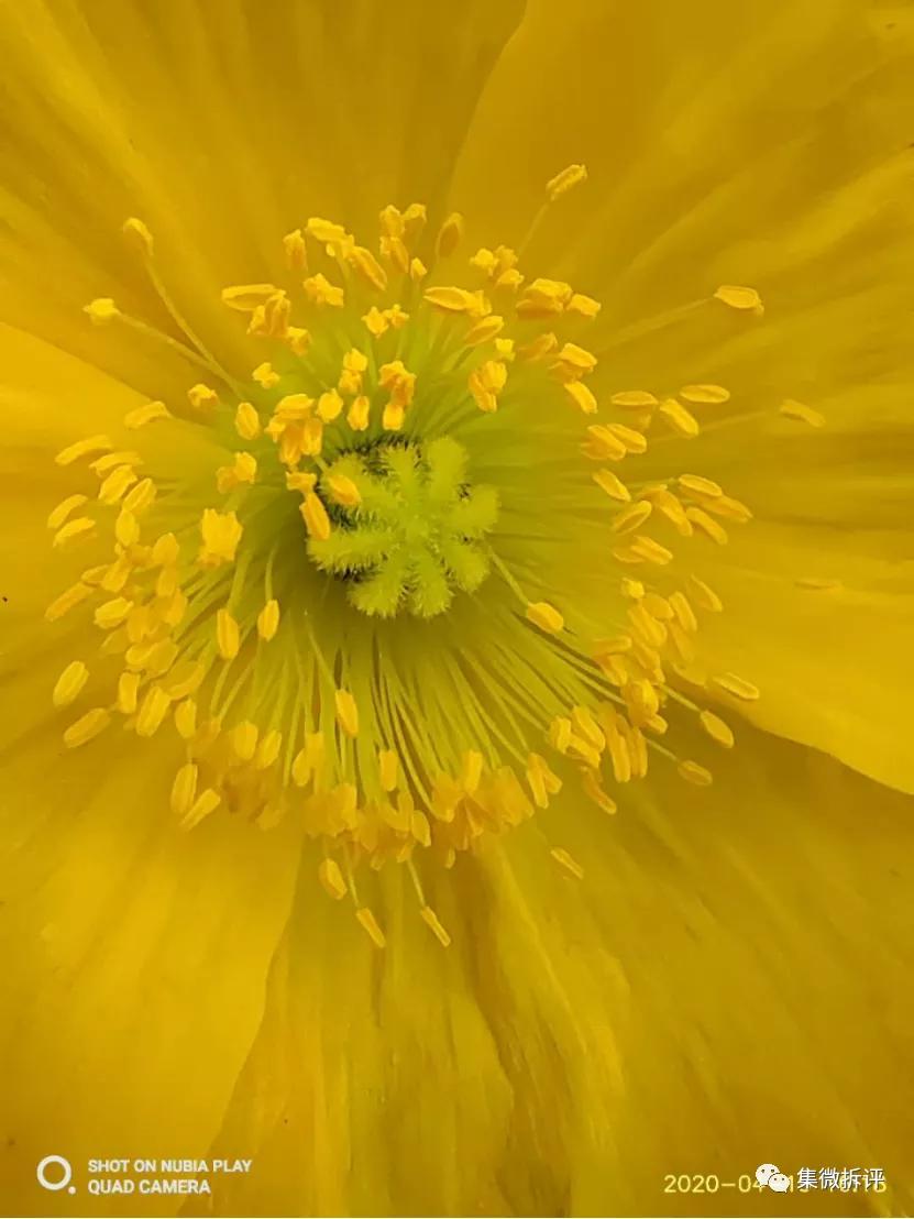 努比亚play和红米note10pro哪个好,努比亚play详细细节测评