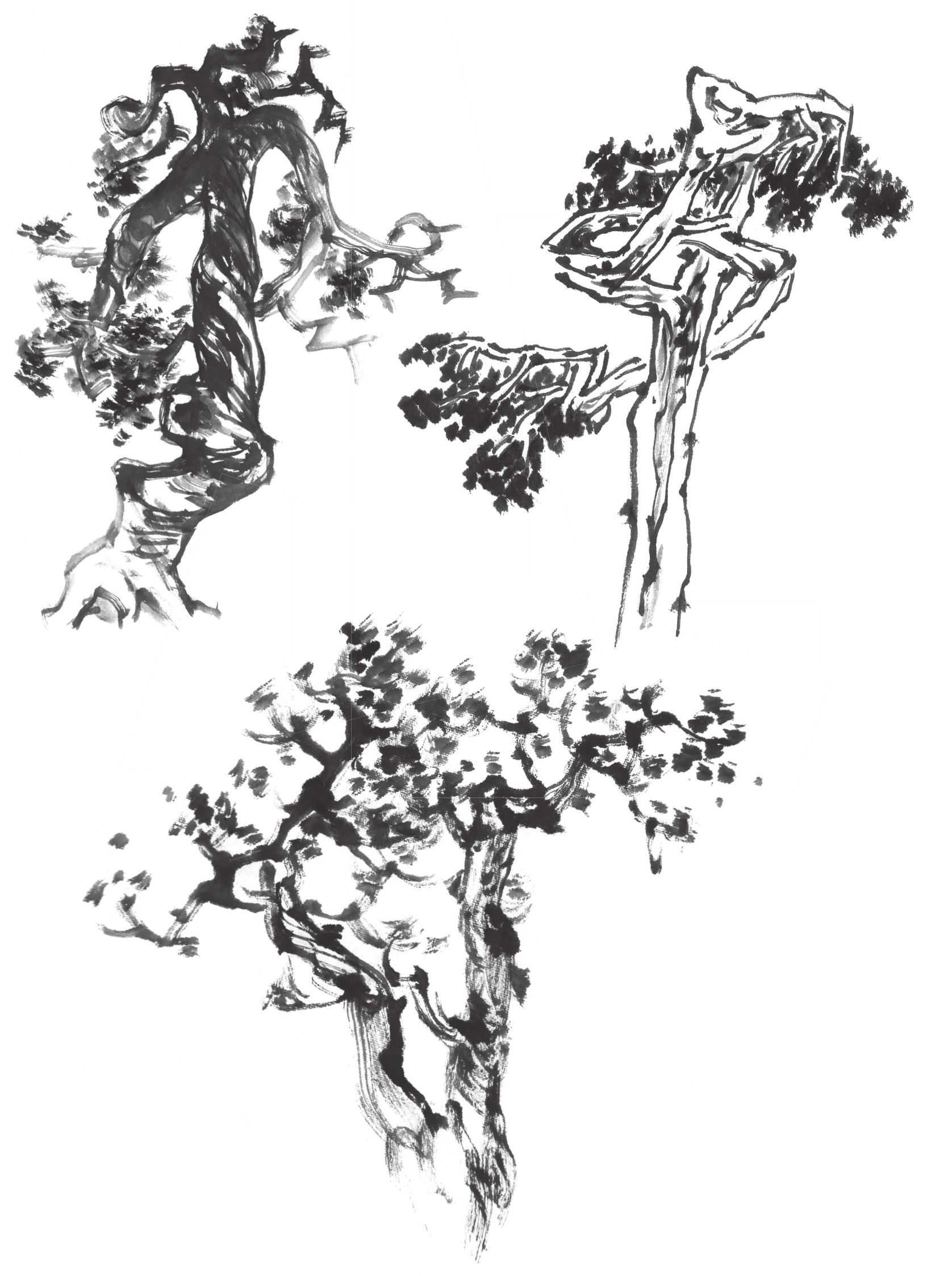 树画简单初学者教程,树画不好看了怎么改