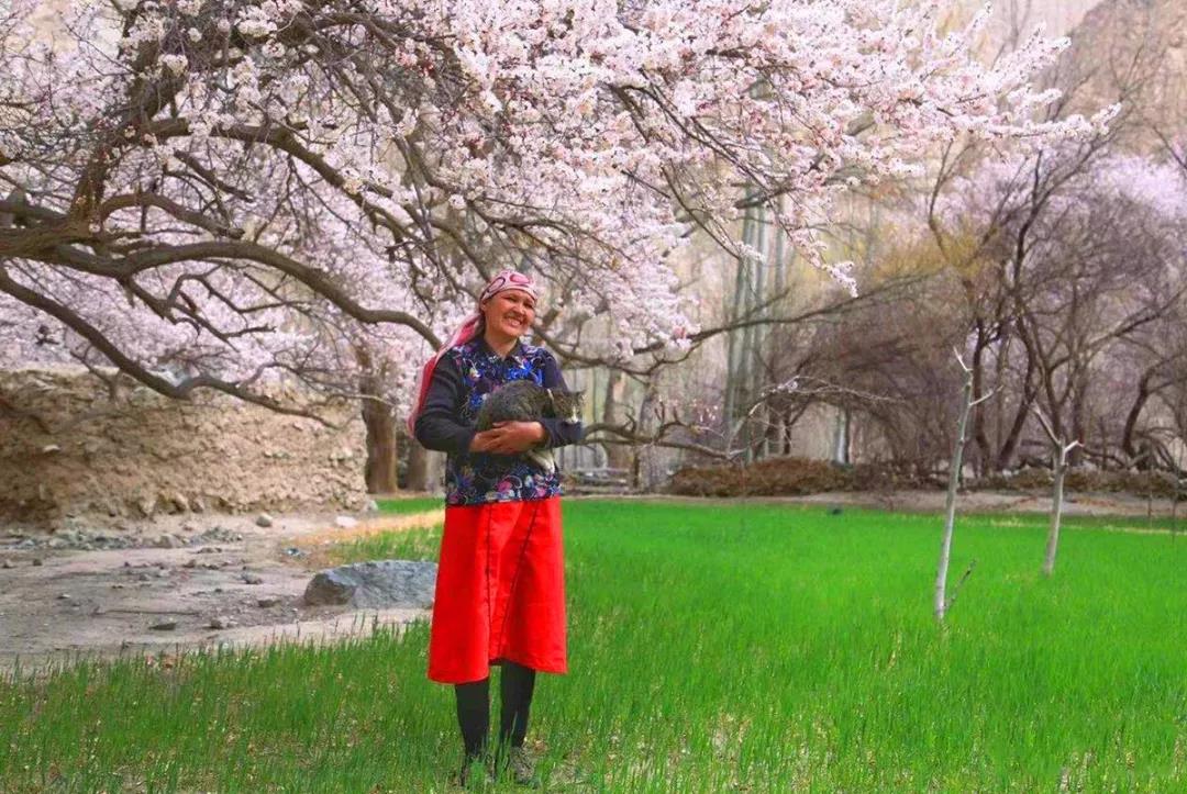 塔莎古道自驾最新消息,塔莎古道沿途景点