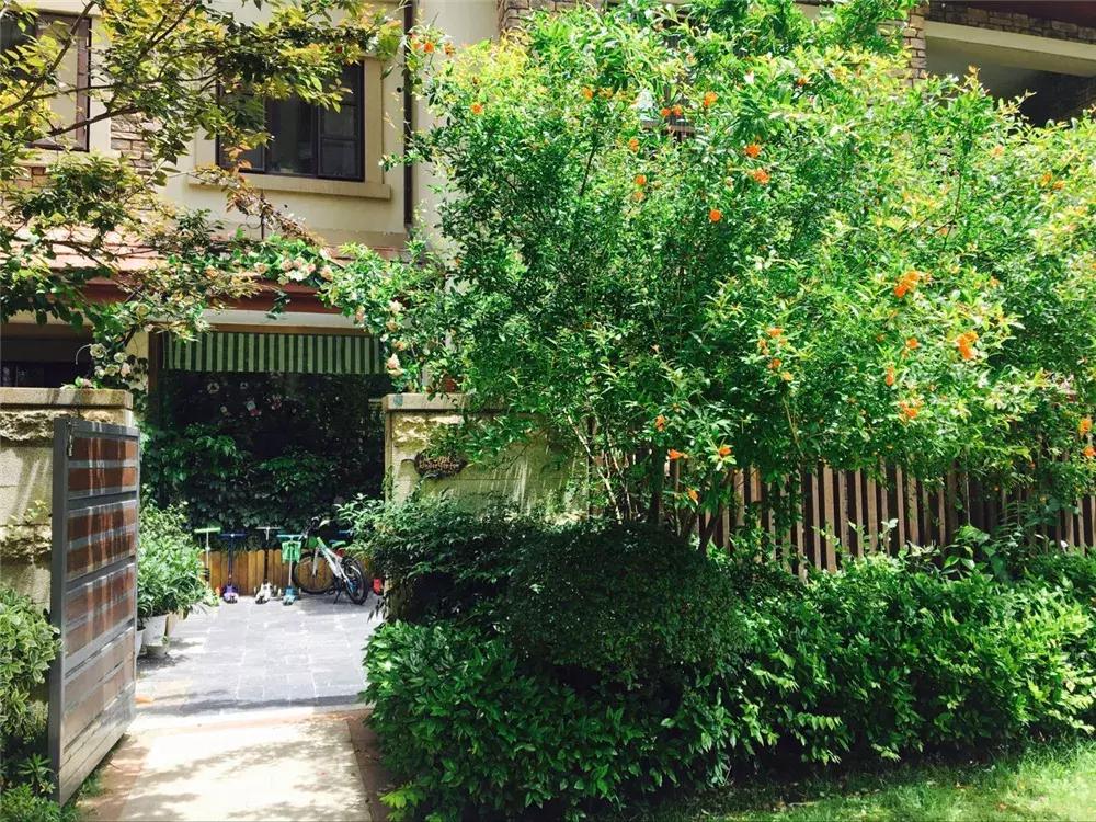 武汉最贵幼儿园排行榜汉阳,武汉市最贵的十所幼儿园