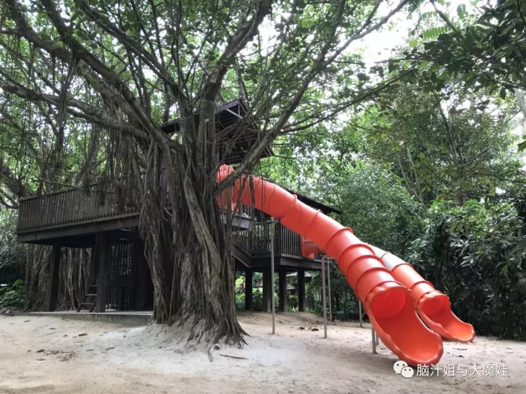 新加坡马来西亚泰国旅游攻略,新加坡马来西亚四日游攻略