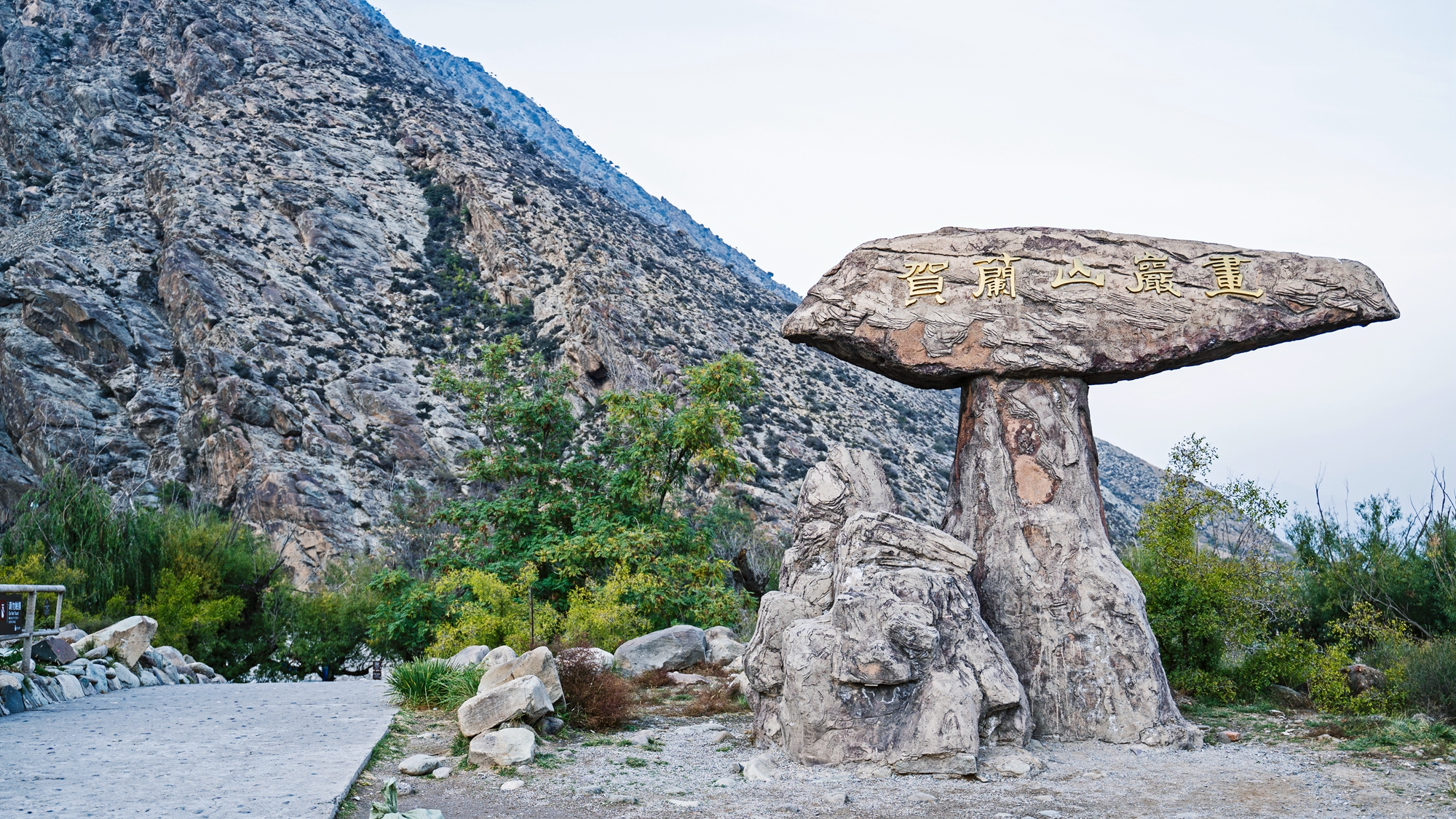 来宁夏玩的攻略,从宁夏去内蒙怎么玩