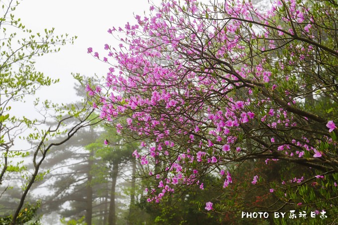 天柱山畅游,天柱山亲子游攻略