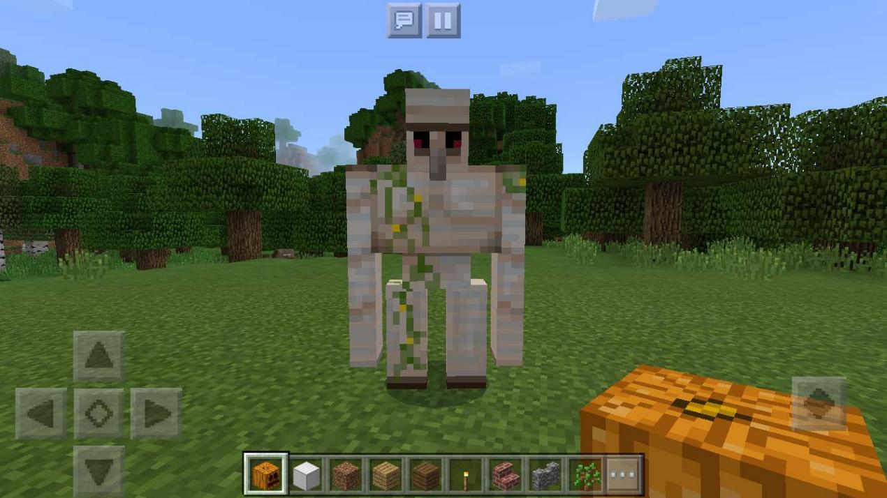 我的世界冷知识如何找村庄,我的世界真实冷知识