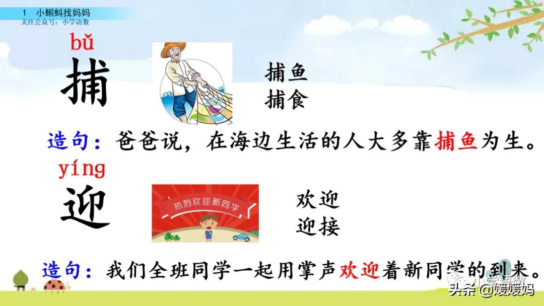 二年级上册小蝌蚪找妈妈听写词语,朗读二年级上册语文小蝌蚪找妈妈