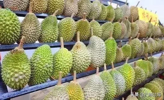 榴莲之王品种,榴莲无壳无核