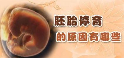怀孕30周突然胎停是什么原因,怀孕突然停胎孕妇有什么反应