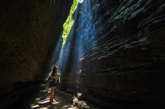抱犊崮门票半价政策,中考生福利重庆