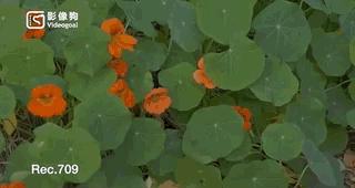 方便录视频的美颜相机,方便录像的手机