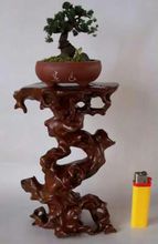 长阳土家族自治县花店,长阳土家族自治县杀人案