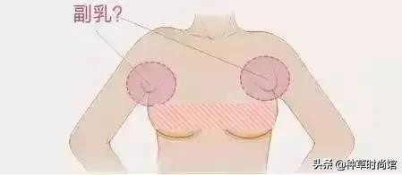 女性胸部知识你知多少,女性胸部知识科普